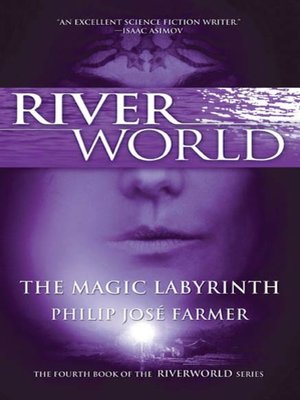cover image of The Magic Labyrinth